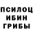 Псилоцибиновые грибы Cubensis Rashid Boboyev