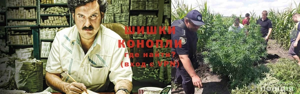 дистиллят марихуана Ладушкин