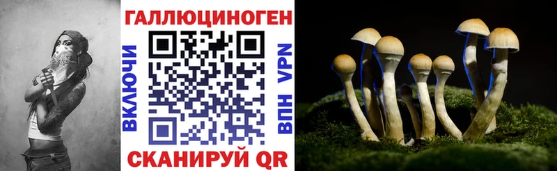 Галлюциногенные грибы Psilocybine cubensis  Купить  Вельск 