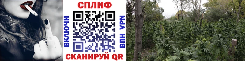 Купить где  Вельск  Бошки марихуана MAZAR 